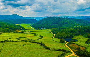 遼寧中盛生物科技集團有限公司