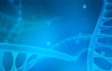 遼寧潤基生物科技有限公司