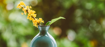 網(wǎng)站建設(shè)中都要做好哪些工作？