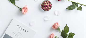 網站建造遵從哪些鐵律更有質量?