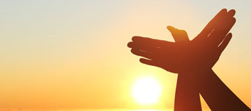 專題頁用戶體驗更好 能夠讓網站快速得到好排名