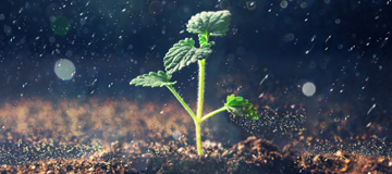 響應式網站常見的幾個設計問題探討