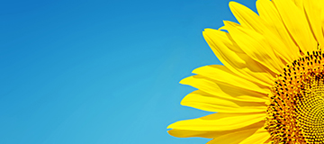 品牌網(wǎng)站建設(shè)六大問題