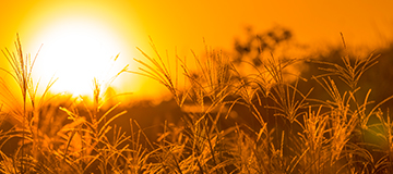 企業(yè)網(wǎng)站公司簡介應(yīng)該注意哪幾點