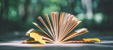 網(wǎng)站設(shè)計(jì)中如何把握頁面設(shè)計(jì)風(fēng)格？