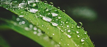 網站建設中如何注重長尾關鍵詞查找功用？