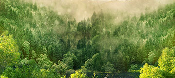 什么是WEB？什么又是網(wǎng)頁(yè)？