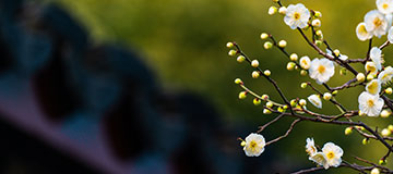 網站建造咨詢-怎么制造網站地圖？