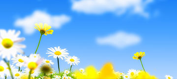 網(wǎng)站代碼標(biāo)簽優(yōu)化有哪些技巧