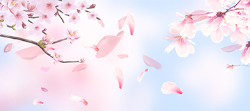 盤點(diǎn)公司網(wǎng)站建設(shè)中網(wǎng)頁(yè)設(shè)計(jì)的安全缺陷有哪些