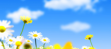 做網站開發需求防止的誤區！