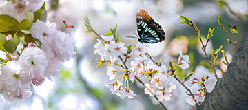 網(wǎng)站建設(shè)在不一起期要注意的問(wèn)題和推行辦法