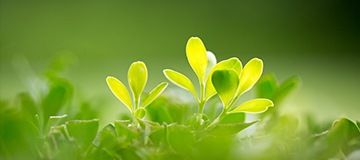 深化了解客戶需求才能夠規劃出優異的網站