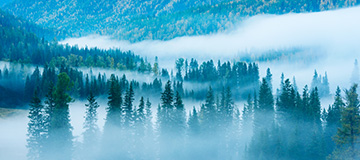 網站建設為什么要做定位？應該如何給網站定位呢？