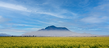 網站標題的注意事項