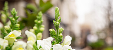 企業網站建設新域名多長時間網站排名會安穩？