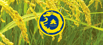 大熊科技成功與遼寧浩谷之星智慧農業科技合作