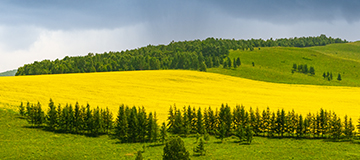 公司網站優化效果欠好，也許是你忽視了以下幾點要素