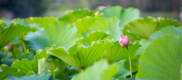 網站建造中的全屏頁面規劃的三個關鍵