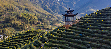 移動互聯已經是一種趨勢