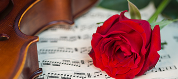 沈陽網站建設完成后的三項準備工作