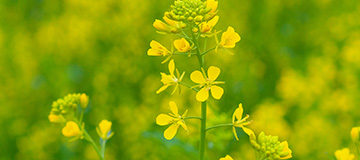 沈陽網站制造時的四種頁面布局方法