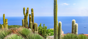 商城網站建造要注意些什么