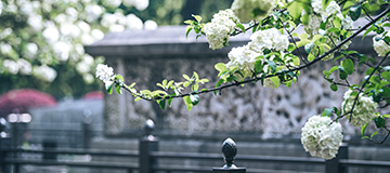 沈陽網站建設搭建步驟 ！看這就對了！