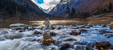 沈陽網站建設的意義是什么