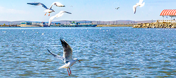 制造公司網頁有什么注意事項