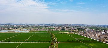 交互到底是做什么的？