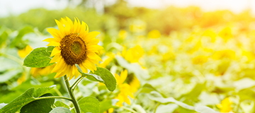 做好規劃企業網頁小技巧辦法