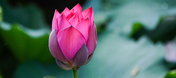 沈陽網站建造怎么提高網站的用戶體會？