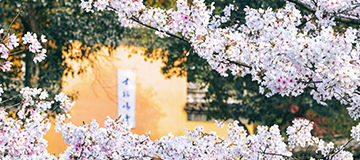 沈陽網站建設中，初級網頁制造應該做到下面的三不要！