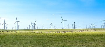 網站優化不一定需靜態化應遵循哪些