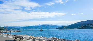 沈陽網(wǎng)站建設需要簡潔精致