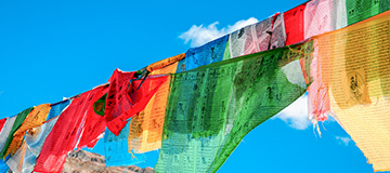 視覺傳達(dá)在網(wǎng)站推行中的效果