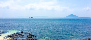 怎么通過優化網站元素進步網站轉化