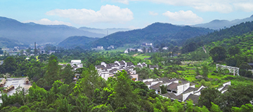 沈陽網站建設中域名對企業尤為重要