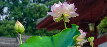 為何優化長尾詞對網站排名引流有影響？