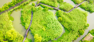 大熊科技從四個方面剖析怎樣正確認識網站定制開發與模板建站