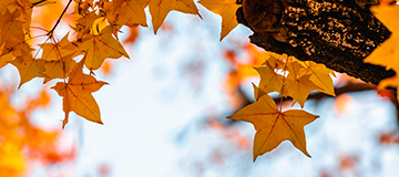 在網頁設計中使用漸變色 這五個理由不能讓你拒絕變色的“捧場”。