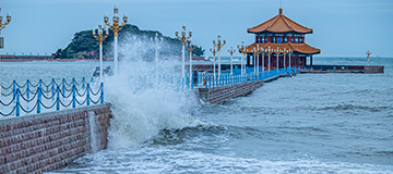 定制網站有一個優勢 那就是規劃技巧融合用戶體會中