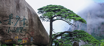 企業網站建造5點注意事項