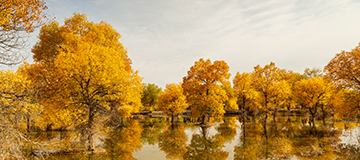 商家為什么要開發微信小程序