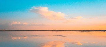 怎樣建設才能讓用戶對網站寵愛有加