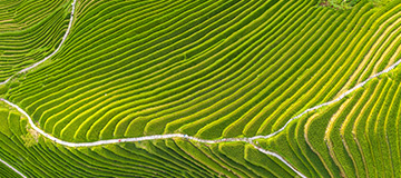 網站為什么要建設關于咱們頁面