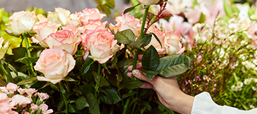 網絡公司和客戶之間做好有效交流十分重要！