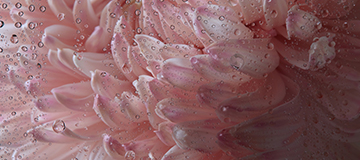 沈陽企業網站建設，網站優化怎么挑選合適自己網站的關鍵詞？