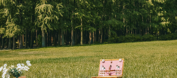 網站建設的好處以及怎樣設計網站